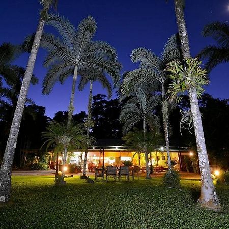فيلا Daintree Siesta Diwan المظهر الخارجي الصورة