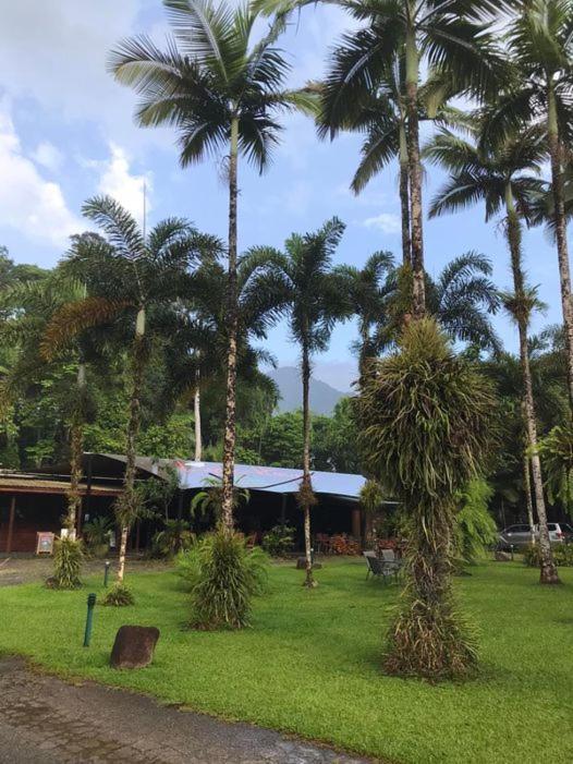 فيلا Daintree Siesta Diwan المظهر الخارجي الصورة