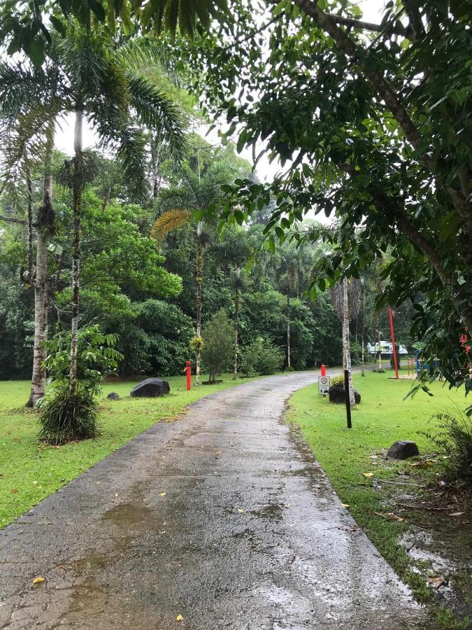فيلا Daintree Siesta Diwan المظهر الخارجي الصورة