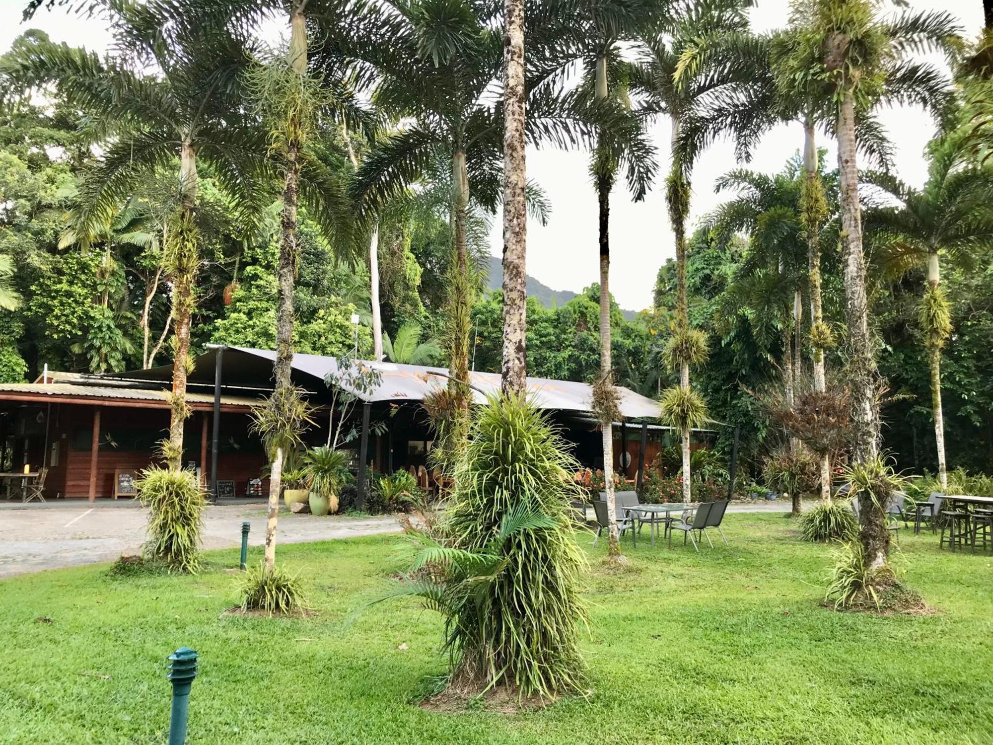 فيلا Daintree Siesta Diwan المظهر الخارجي الصورة