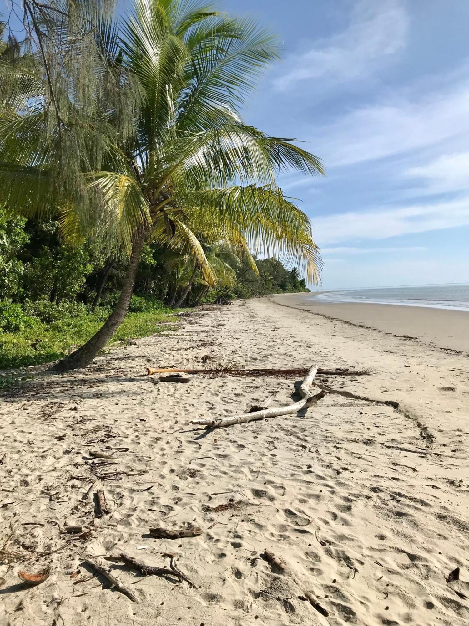 فيلا Daintree Siesta Diwan المظهر الخارجي الصورة